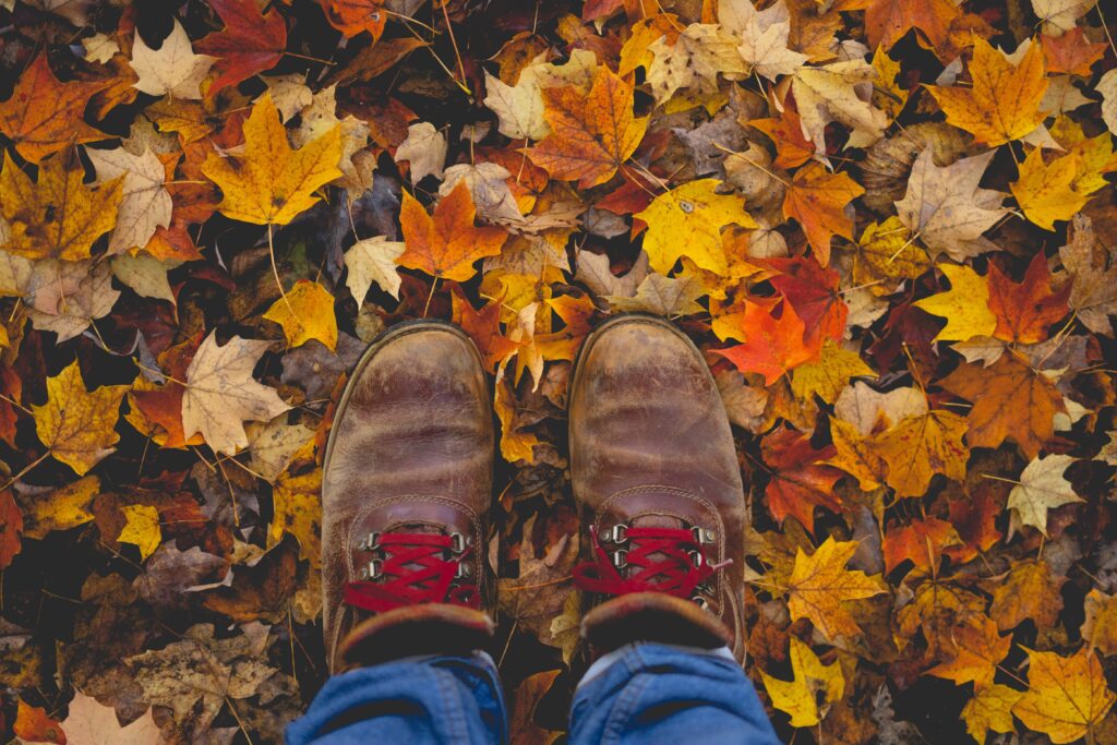 Cozy Fall Morning Routine 