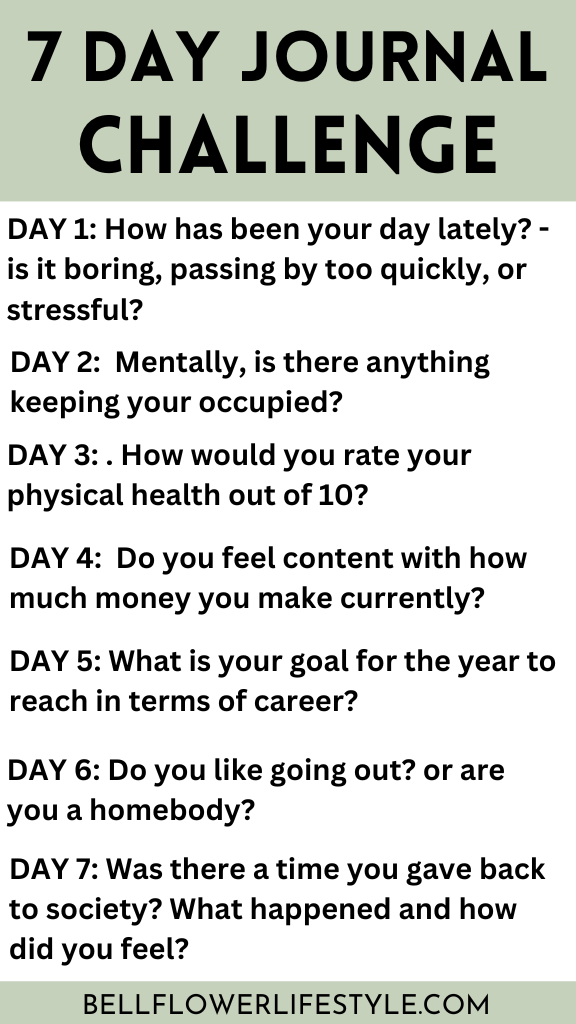 7 day journal challenge