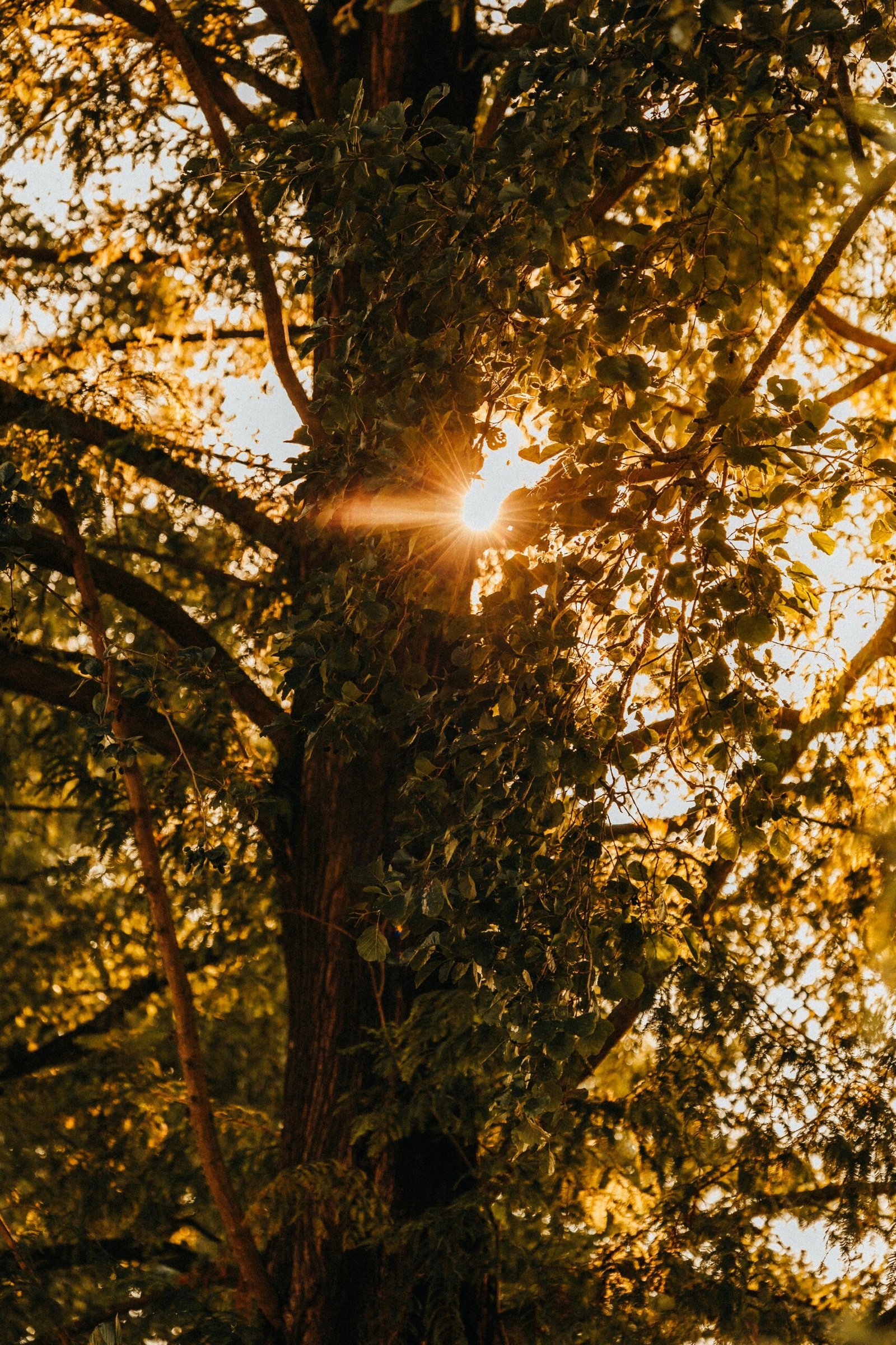 15 heart warming things to do in September to prepare for new season ...